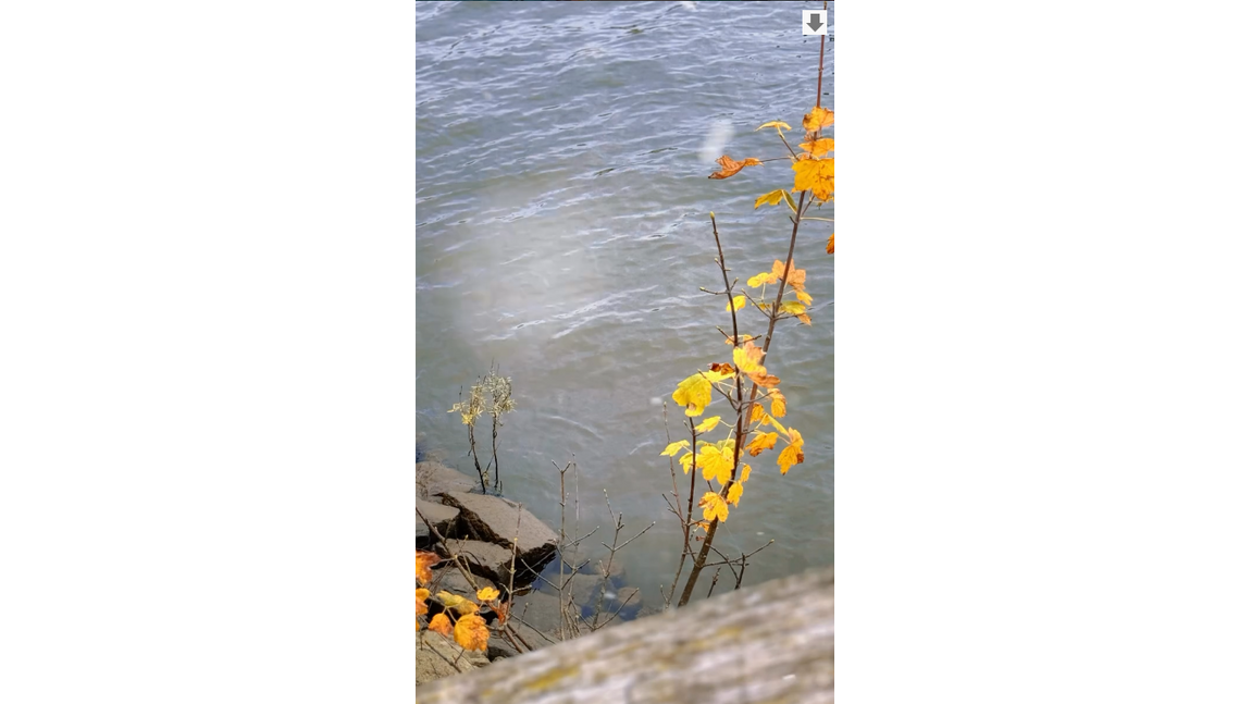 Summer Childcare Questions