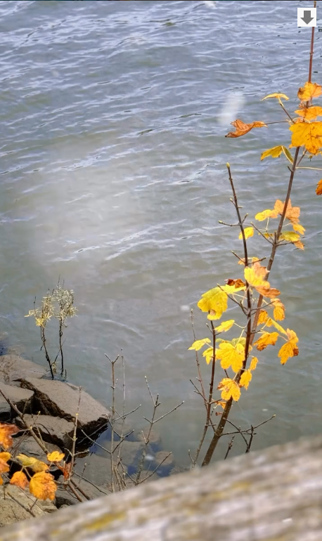 When Your Child Needs Glasses